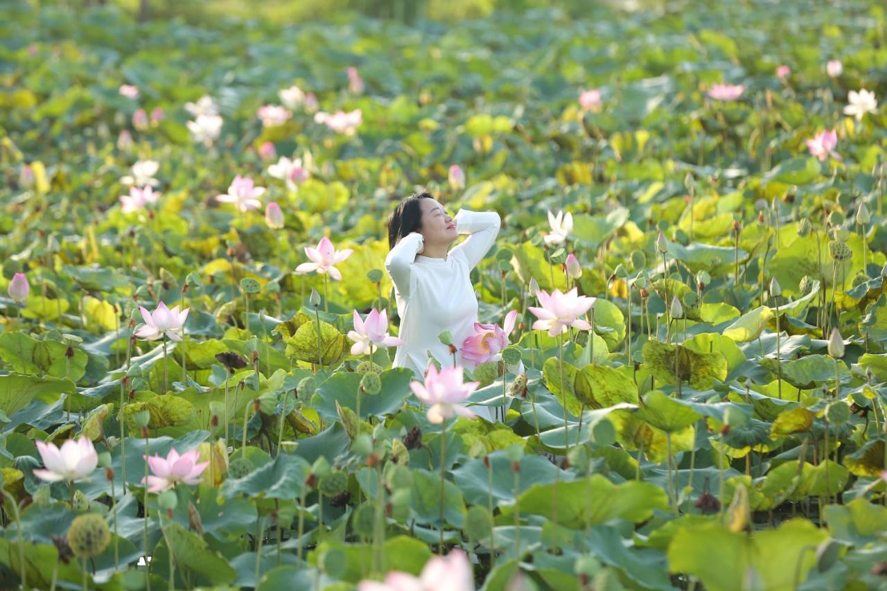 Lotus Hotel Ninh Bình Esterno foto
