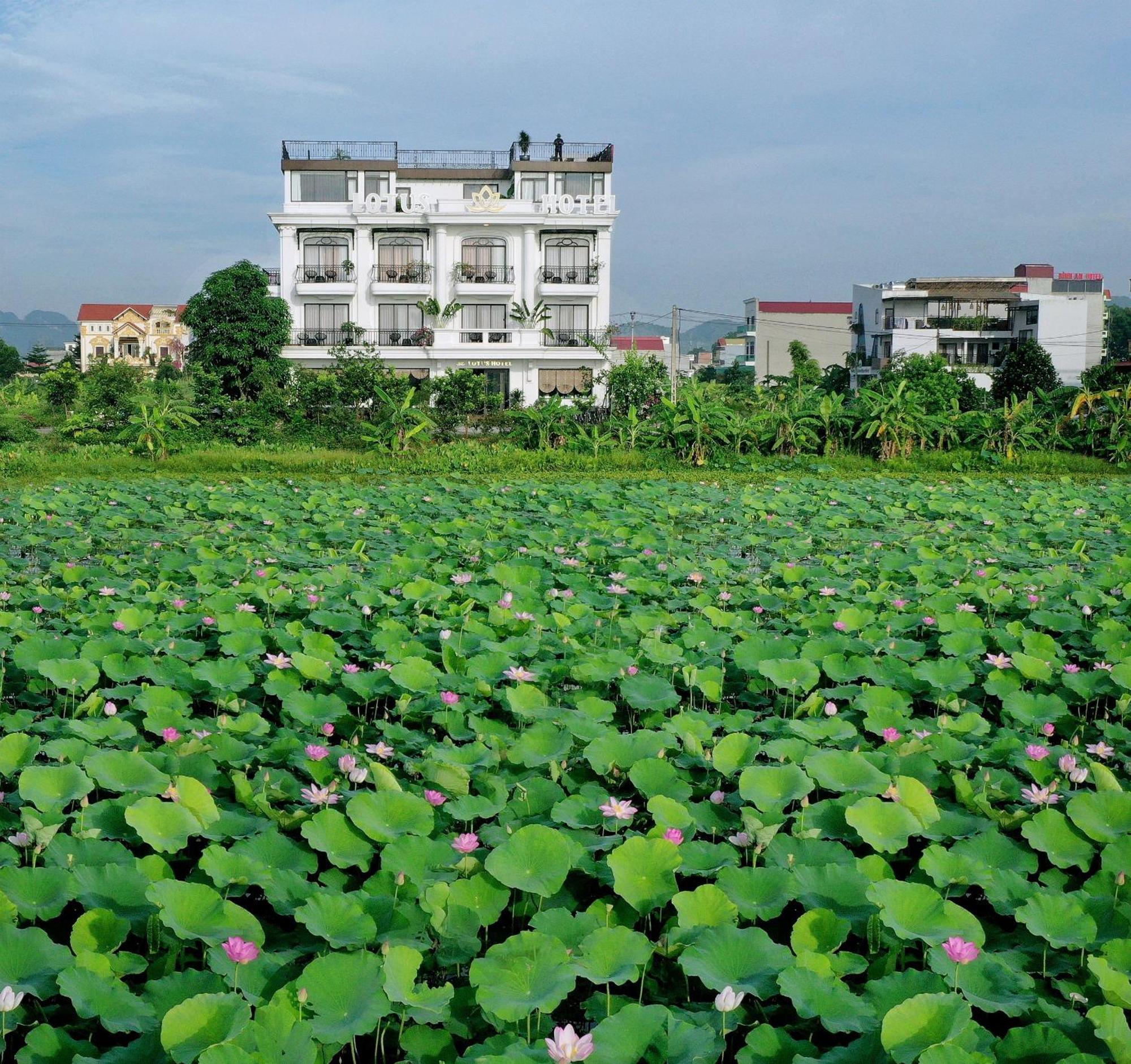 Lotus Hotel Ninh Bình Esterno foto